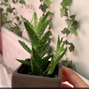 Meet your Posher, Zahra